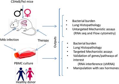 Are There Sex-Specific Differences in Response to Adjunctive Host-Directed Therapies for Tuberculosis?